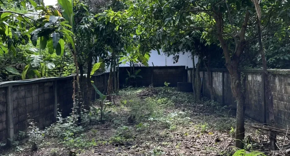 Haus zum Kauf und zur Miete mit 2 Zimmer in Mueang Phatthalung, Phatthalung