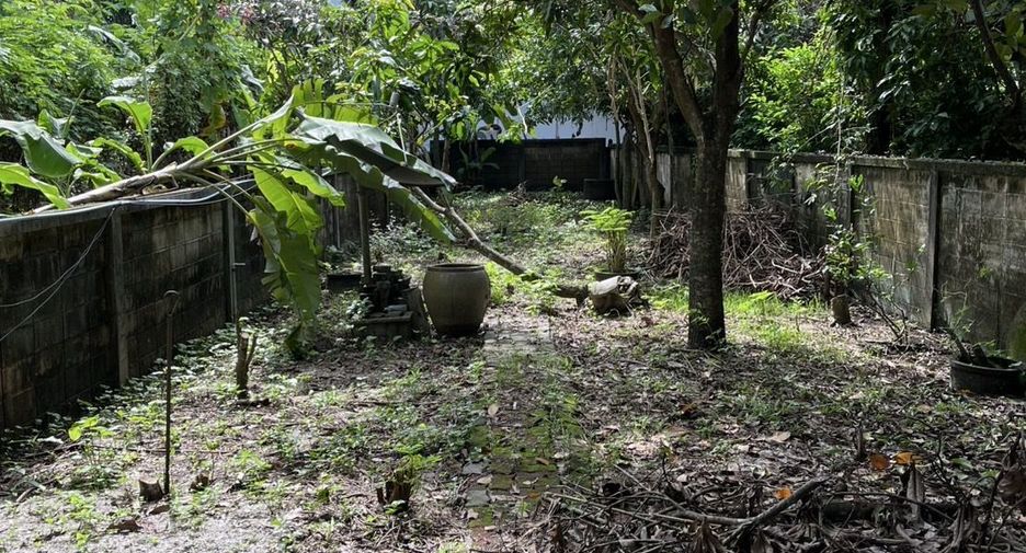 Haus zum Kauf und zur Miete mit 2 Zimmer in Mueang Phatthalung, Phatthalung