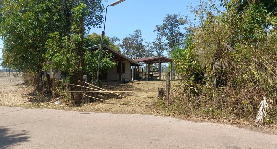 À vendre terrain à Renu Nakhon, Nakhon Phanom