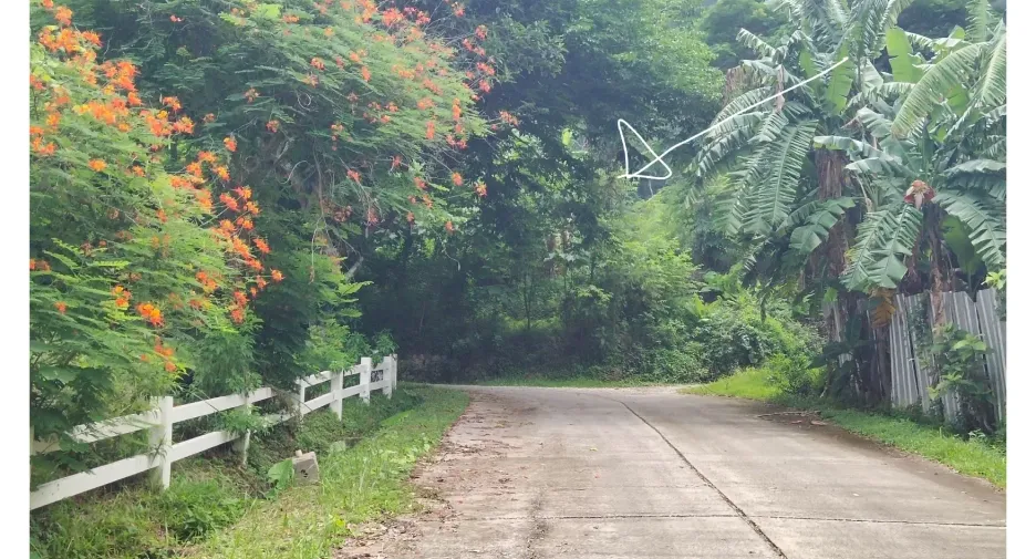 For sale land in Kathu, Phuket
