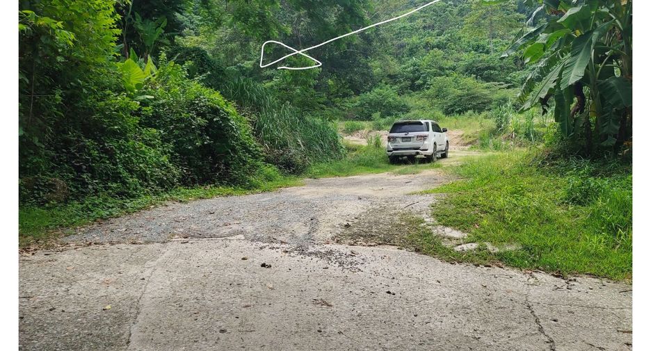 For sale land in Kathu, Phuket