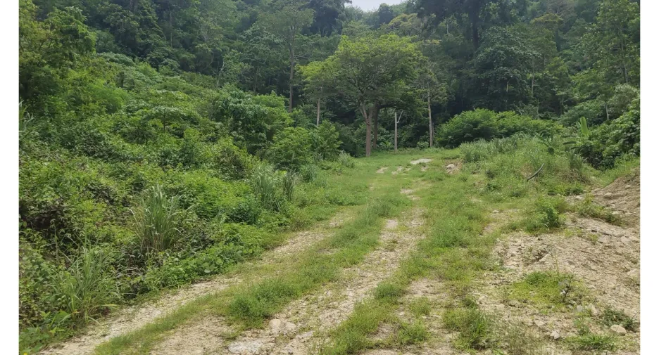 For sale land in Kathu, Phuket