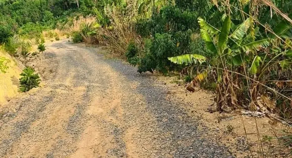 Grundstück zum Kauf in Takua Thung, Phang Nga