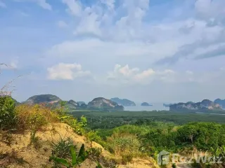 For sale land in Takua Thung, Phang Nga