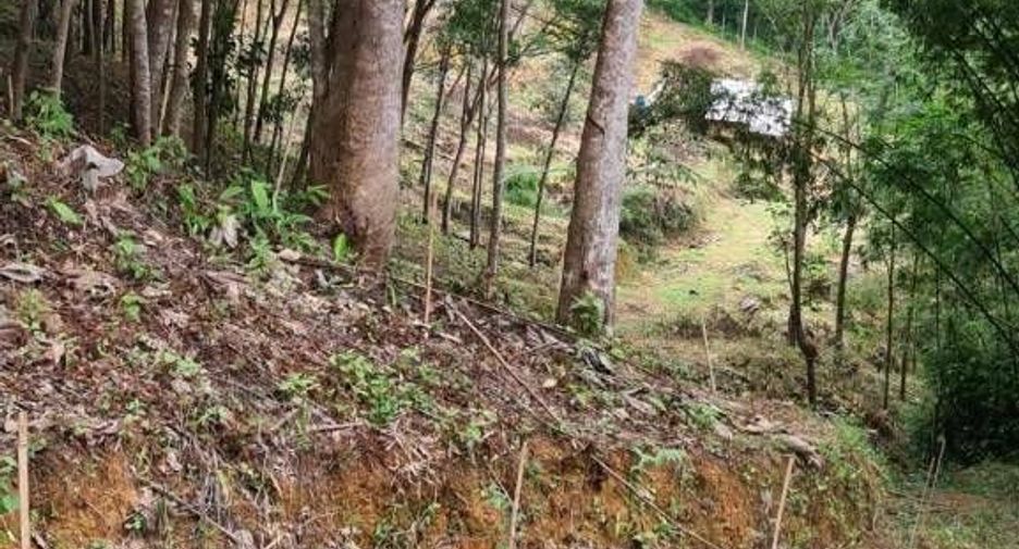 For sale land in Takua Thung, Phang Nga