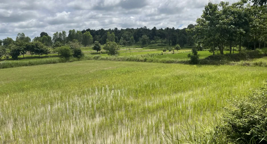 For sale land in Mueang Kalasin, Kalasin