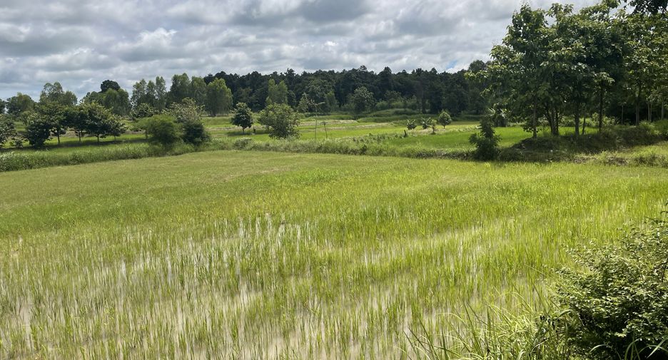 For sale land in Mueang Kalasin, Kalasin