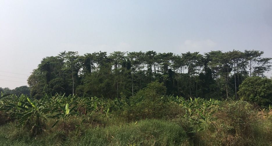 For sale land in Mueang Ang Thong, Ang Thong