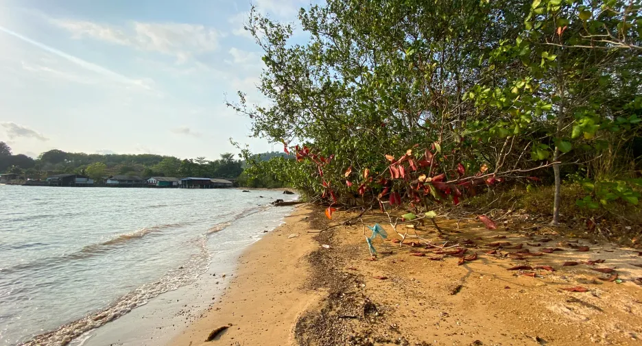 For sale land in Laem Ngop, Trat