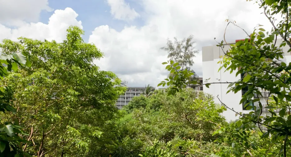 For rent 1 bed condo in Kathu, Phuket