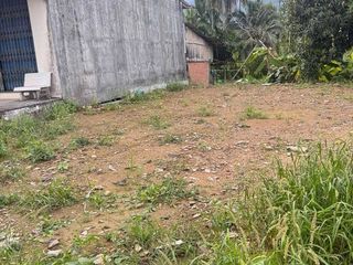 For sale land in Ron Phibun, Nakhon Si Thammarat