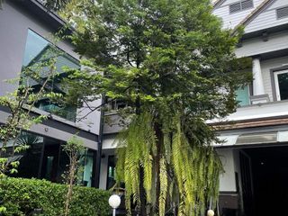 出售 5 卧室 别墅 在 Suan Luang, 曼谷