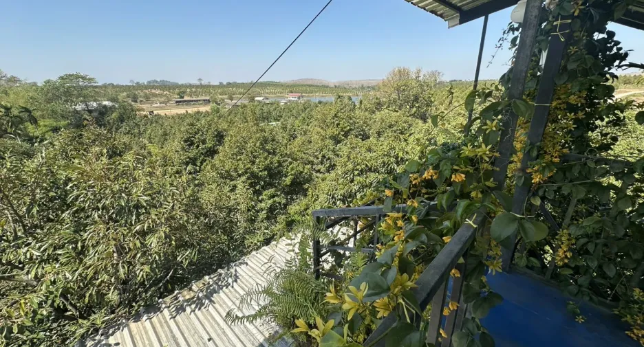For sale 8 bedrooms house in Khao Saming, Trat