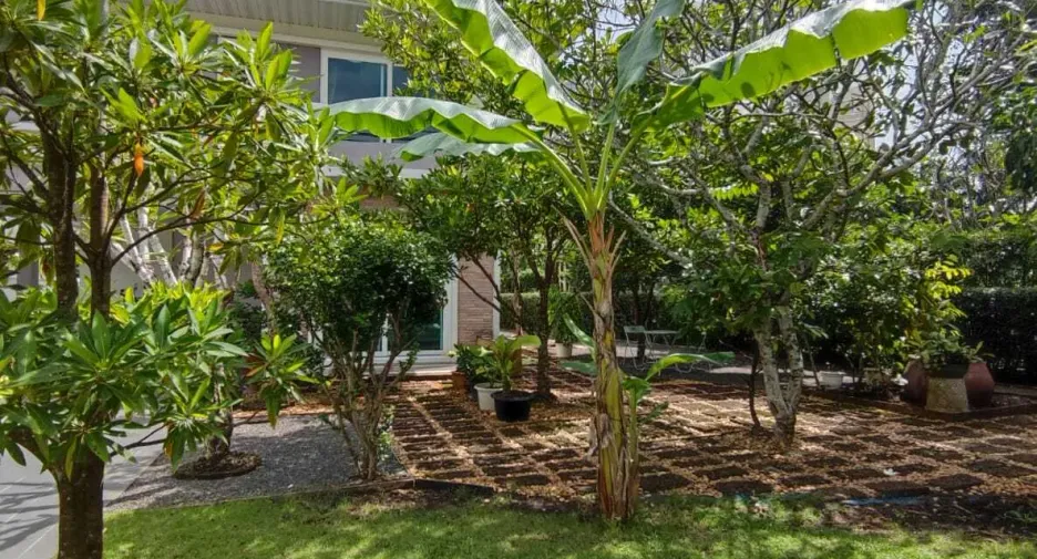 For sale and for rent 4 bedrooms house in Mueang Phuket, Phuket
