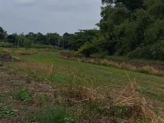 ขาย ที่ดิน ใน เสาไห้, สระบุรี
