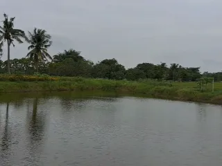 ขาย ที่ดิน ใน เสาไห้, สระบุรี