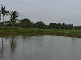 Grundstück zum Kauf in Sao Hai, Saraburi