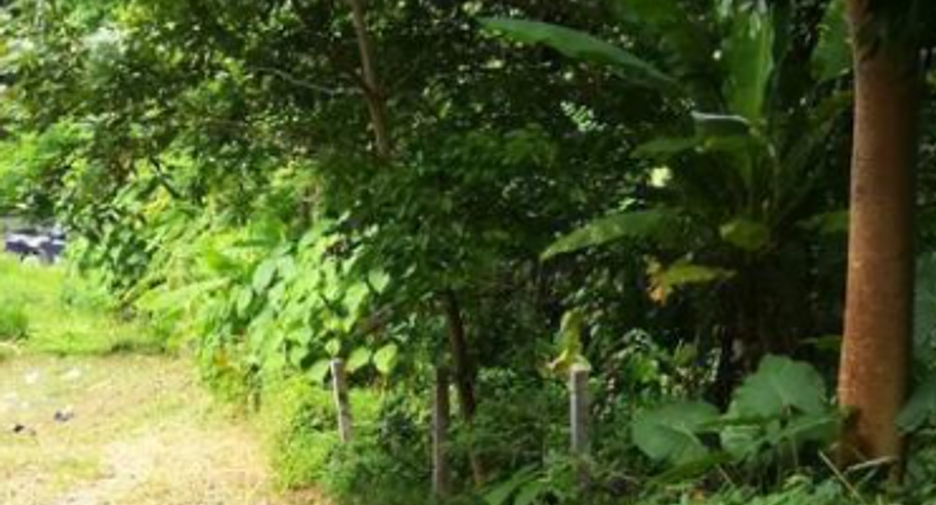For sale land in Kathu, Phuket