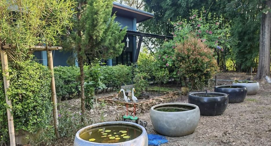 For sale 2 bedrooms house in Phrao, Chiang Mai