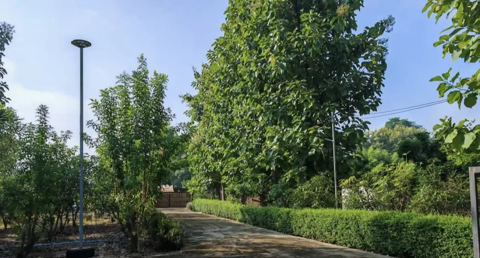 For sale 2 bedrooms house in Phrao, Chiang Mai