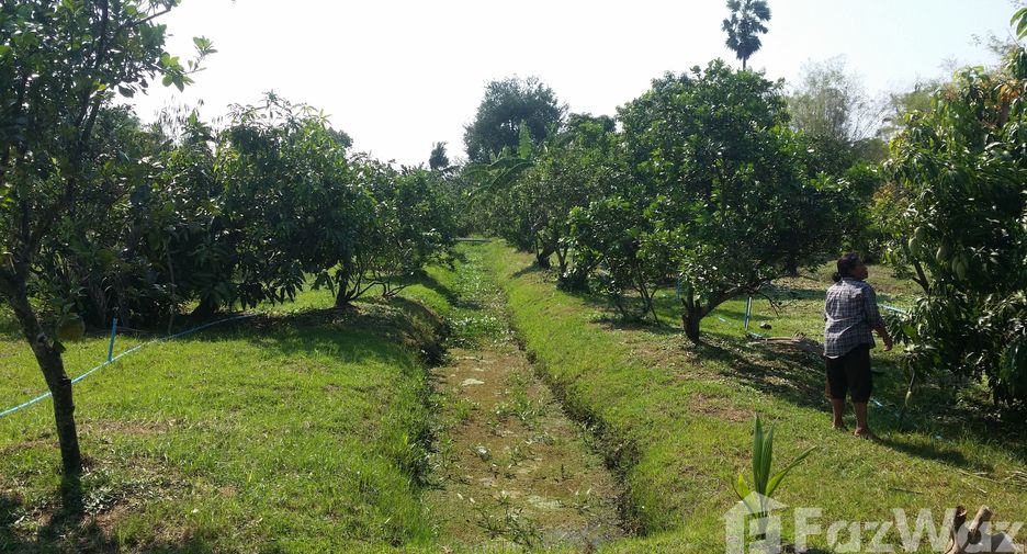 For sale land in Amphawa, Samut Songkhram