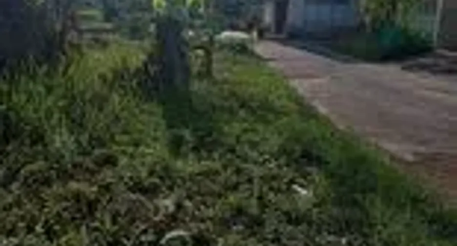 For sale land in Mueang Phatthalung, Phatthalung