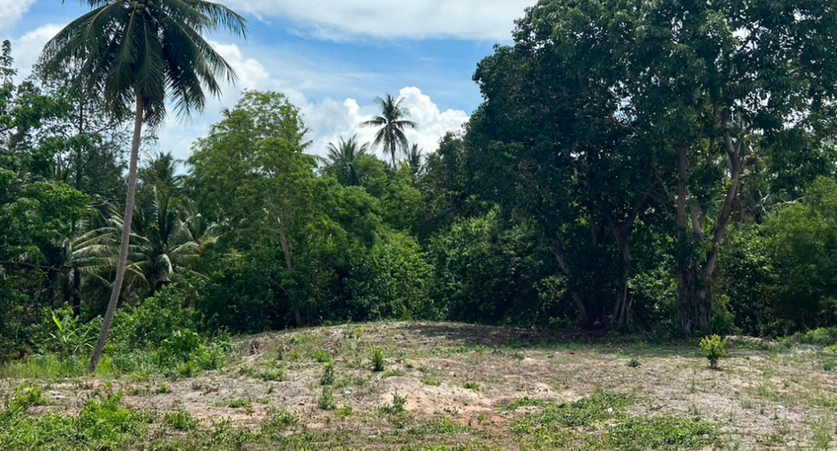 For sale land in Khanom, Nakhon Si Thammarat
