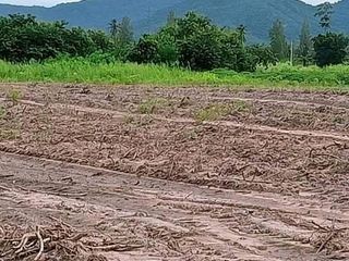 Продажа Участок в Tha Yang, Пхетбури