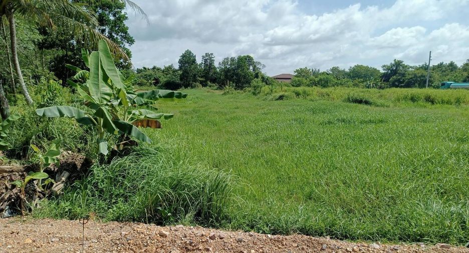 For sale land in Khuan Niang, Songkhla