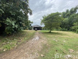 Продажа Участок в Mueang Loei, Loei