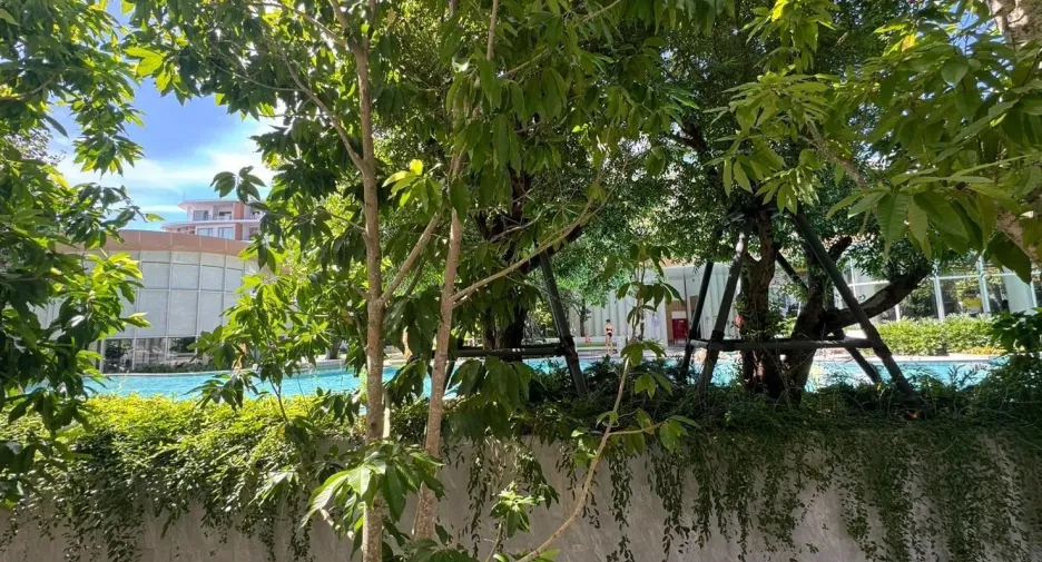 出租 2 卧室 公寓 在 Phuket Town, 普吉