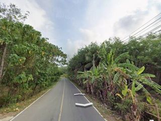 For sale land in Thalang, Phuket