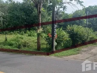 For sale land in Thalang, Phuket