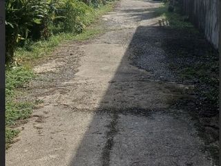 For sale land in Thalang, Phuket