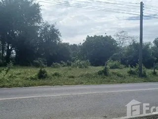 For sale land in Thalang, Phuket