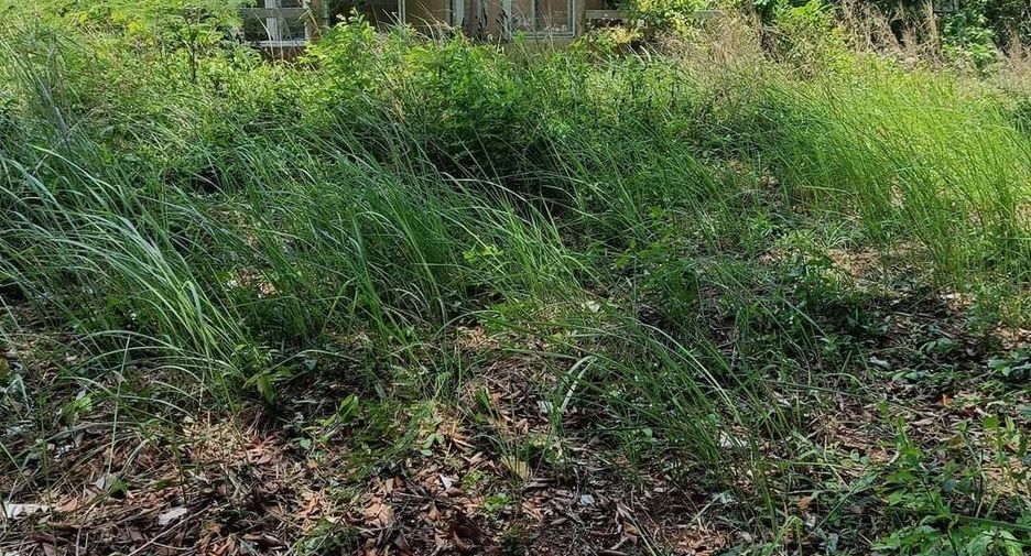 For sale land in Laem Ngop, Trat