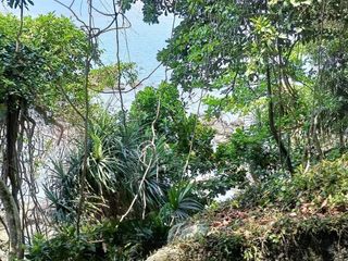 ขาย ที่ดิน ใน แหลมงอบ, ตราด