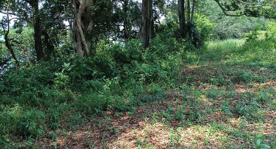 For sale land in Laem Ngop, Trat