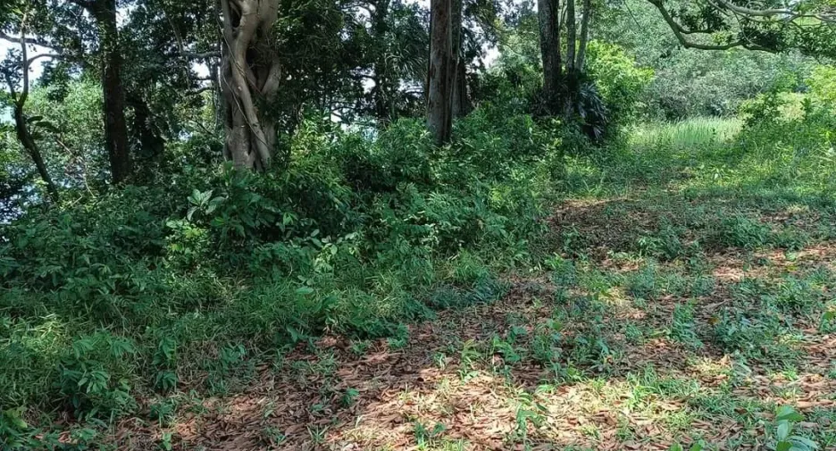 For sale land in Laem Ngop, Trat