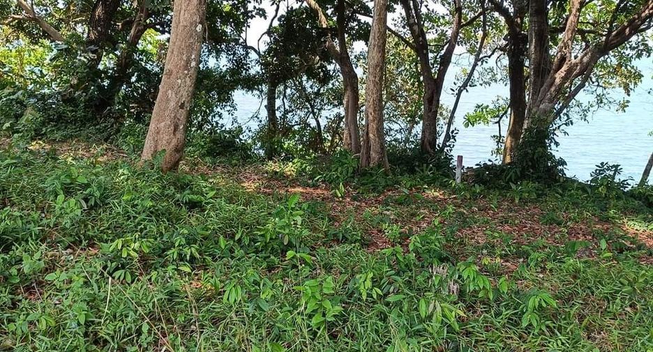 For sale land in Laem Ngop, Trat