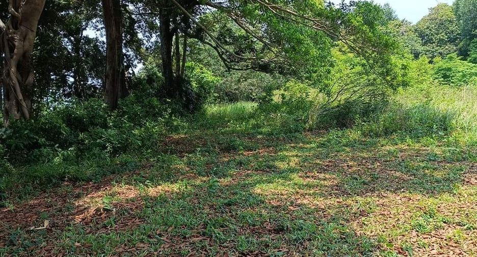 For sale land in Laem Ngop, Trat
