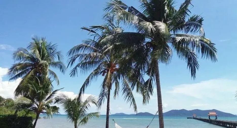 À vendre 2 chambres condo à Ko Chang, Trat