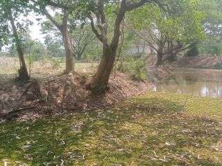 Haus zum Kauf mit 2 Zimmer in Mueang Lampang, Lampang