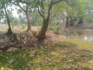 For sale 2 bedrooms house in Mueang Lampang, Lampang
