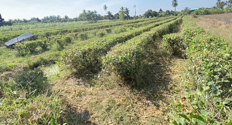 Terreno en venta en Nakhon Chai Si, Nakhon Pathom