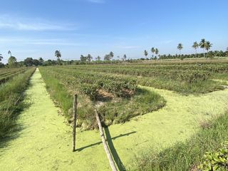 À vendre terrain à Nakhon Chai Si, Nakhon Pathom