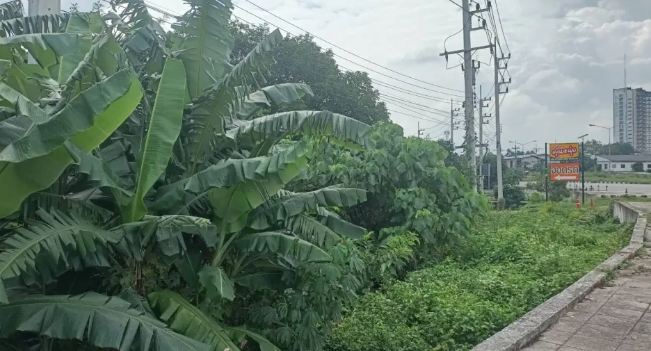 For sale land in Mueang Chumphon, Chumphon