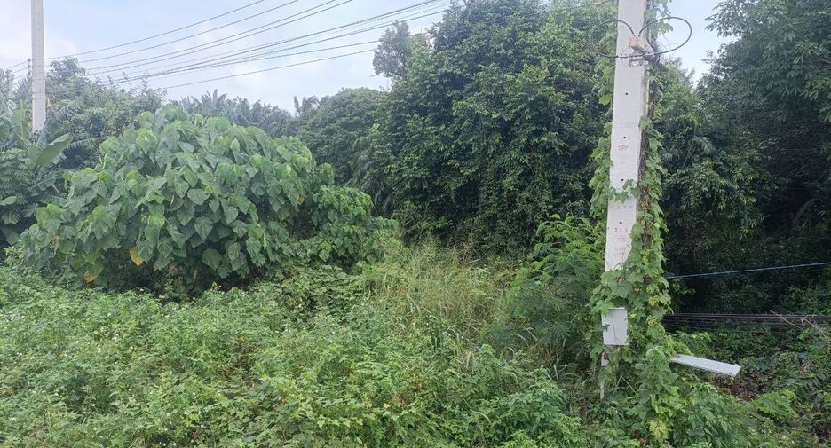 For sale land in Mueang Chumphon, Chumphon