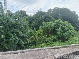 ขาย ที่ดิน ใน เมืองชุมพร, ชุมพร