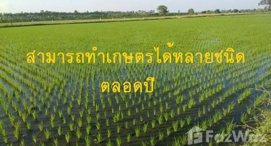 Продажа Участок в Bueng Samakkhi, Кампхэнгпхет
